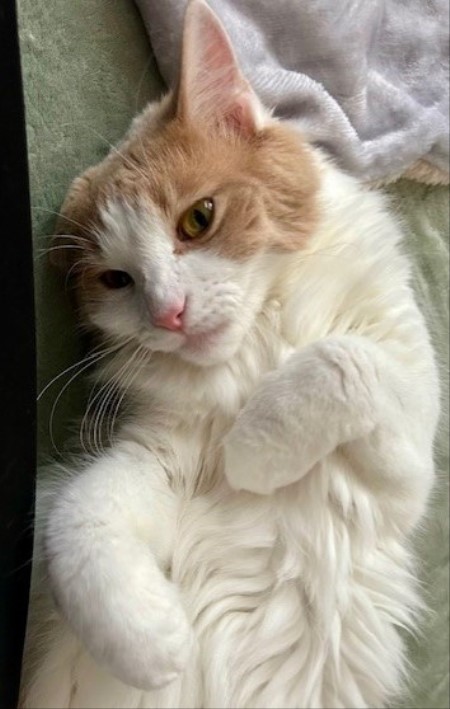 thumbnail_IMG_2508 (1)