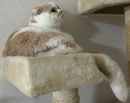 thumbnail_IMG_7176 (1)