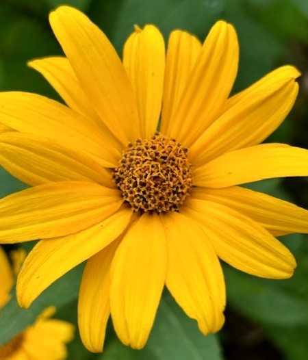 thumbnail_IMG_0286 (2)