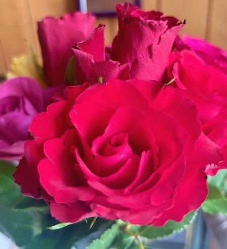 thumbnail_IMG_2940 (2)