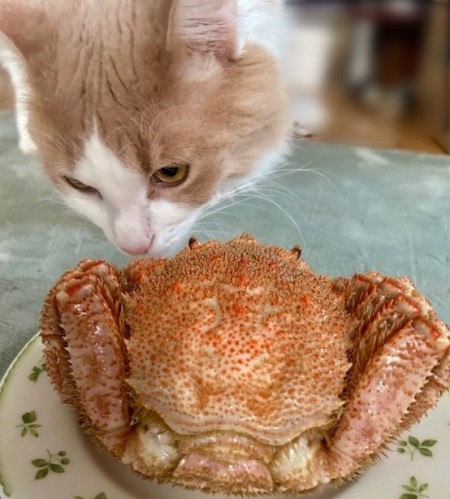 thumbnail_IMG_3389 (1)