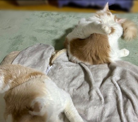 b372ad02-68e2-40c3-a3b2-fcaf2296ac09