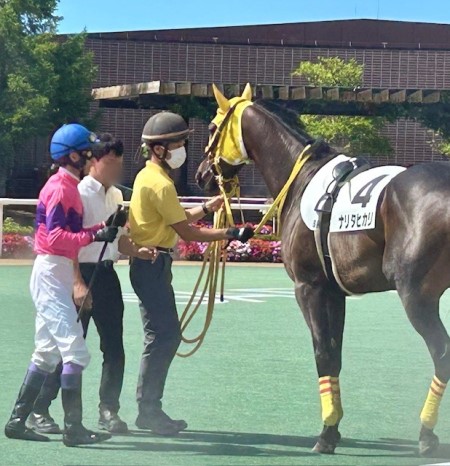 thumbnail_IMG_0464 (1)