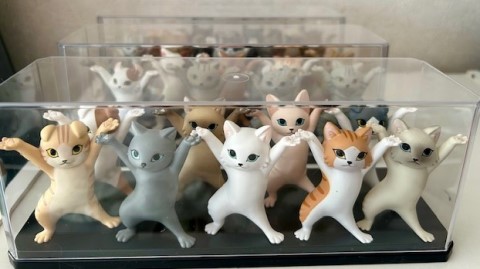 thumbnail_IMG_0742