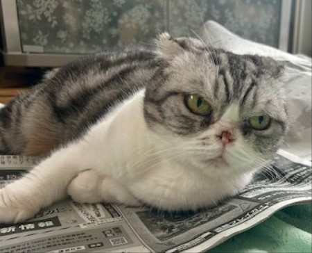 001cb8b1-2ca3-4899-ac37-763e207f0ef5