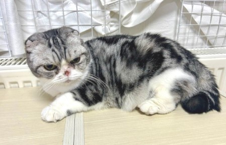 thumbnail_IMG_5231 (2)