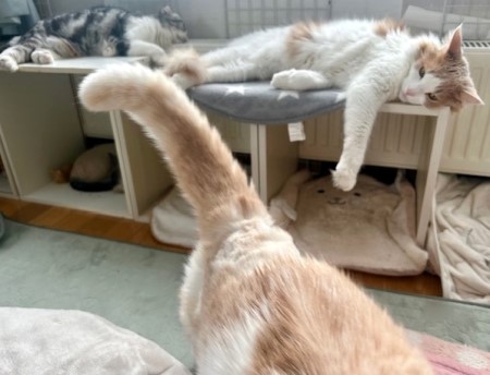 b0e2518b-ec3b-4622-94af-339e2d895974