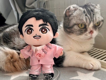 こひろみくん（郷ひろみさんのぬいぐるみ）の服作り⑧ : 猫だらけ