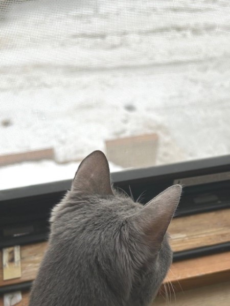 thumbnail_IMG_5194 (1)