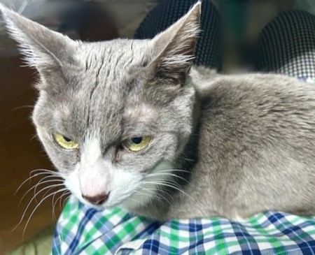 thumbnail_IMG_5973 (2)