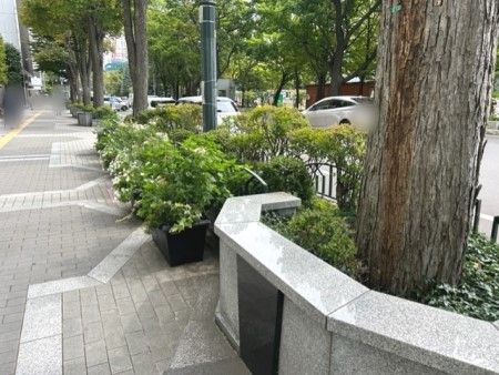 thumbnail_IMG_7656