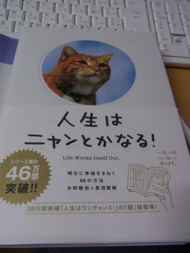 「猫だらけ」