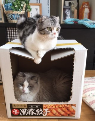 o0320040713538686036