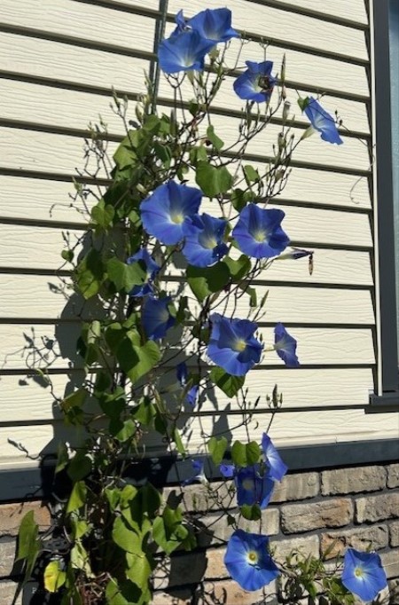 thumbnail_IMG_5229 (1)
