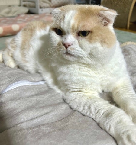 021f2c64-fccf-4fe8-ac49-4f96f4071608