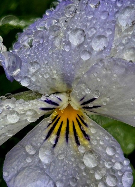 thumbnail_IMG_4689 (3)