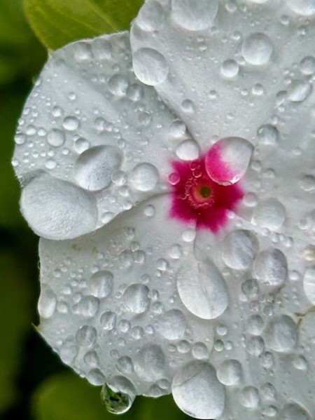 thumbnail_IMG_3552 (1)