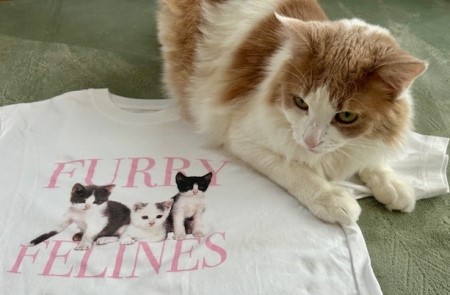 thumbnail_IMG_6716 (1)