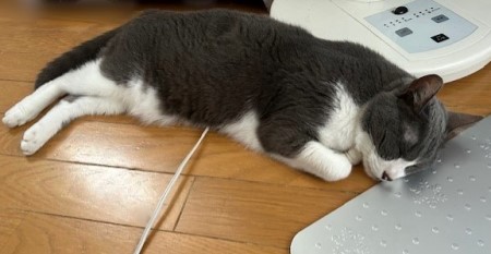 thumbnail_IMG_4177 (1)