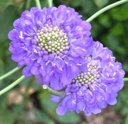 thumbnail_IMG_5615