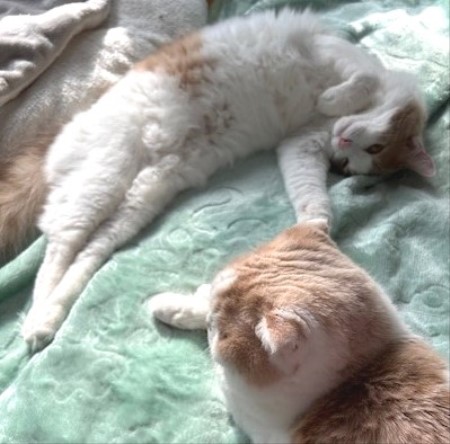 thumbnail_IMG_7793 (1)