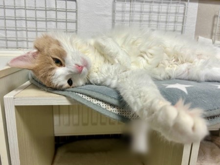 c33d139d-3581-435e-95d7-b4fa1fa9b2db