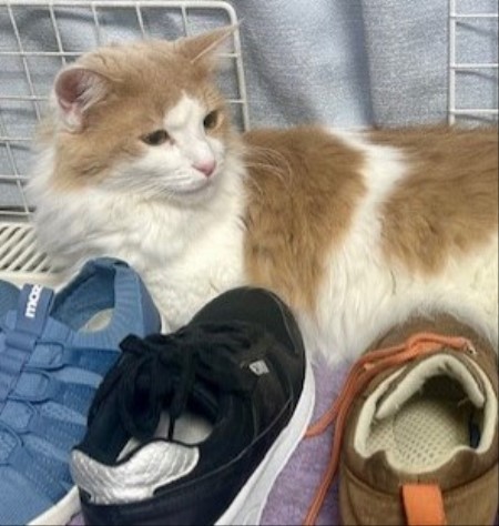 thumbnail_IMG_5206 (3)