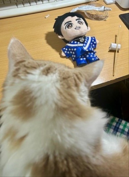 thumbnail_IMG_3245 (1)