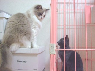 2007_10040016