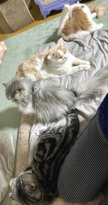 f21acd01-5106-4bcb-8d9d-e25410a09b31