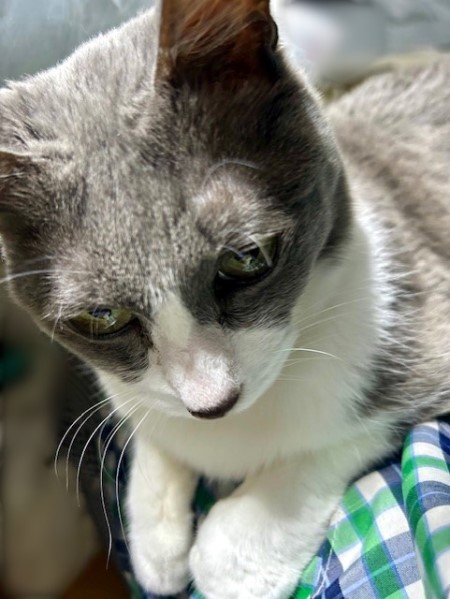 thumbnail_IMG_5978 (2)