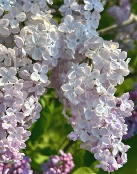 thumbnail_IMG_6833 (1)