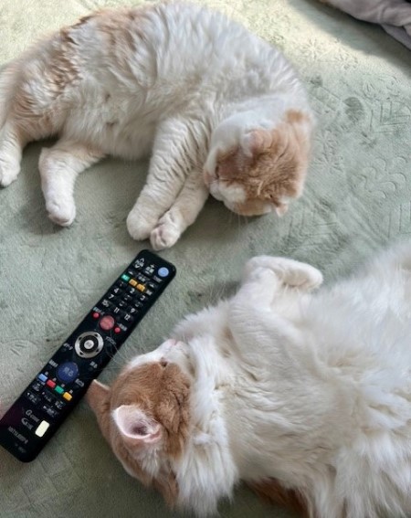 thumbnail_IMG_3600 (1)