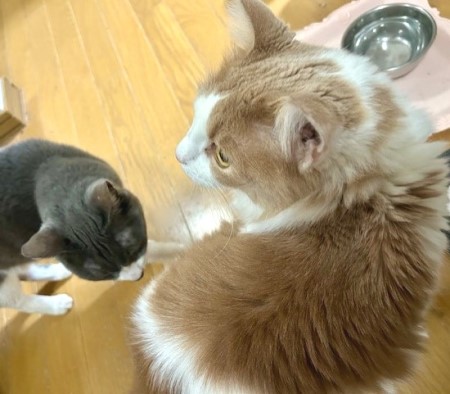 thumbnail_IMG_5241 (1)