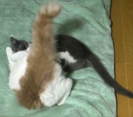 thumbnail_IMG_3138 (1)