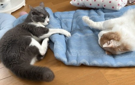 9e35a459-4cd7-4792-a9e1-8292cb3880c5