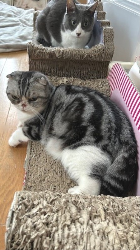 thumbnail_IMG_5863 (1)