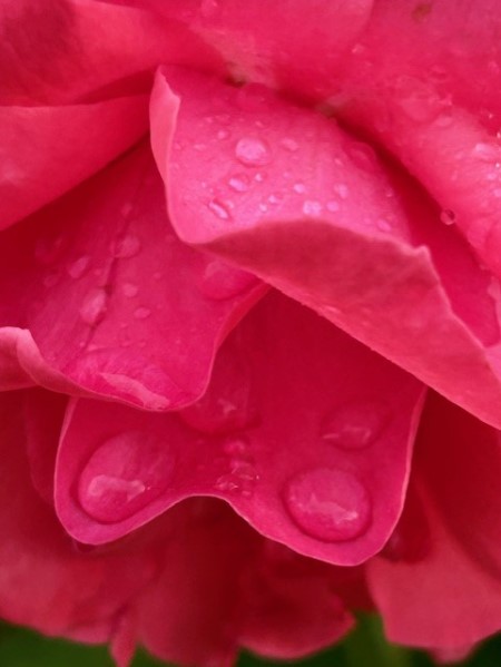 thumbnail_IMG_0594 (1)