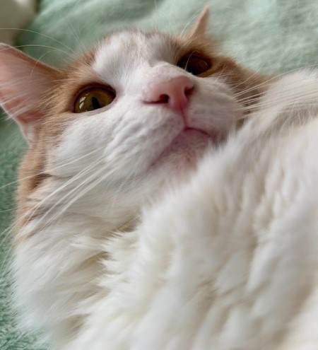 thumbnail_IMG_0615 (2)