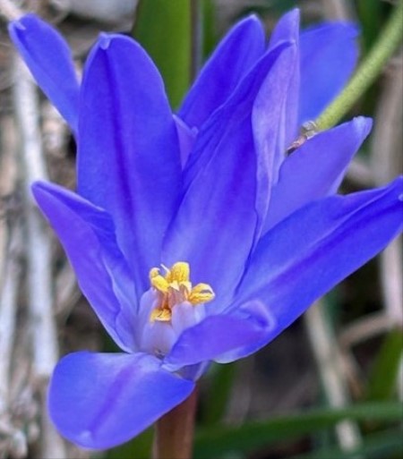thumbnail_IMG_8756 (2)