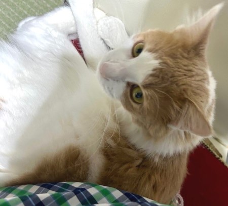 5fc87127-ca63-4fd3-aaef-b0b4bc5721fe