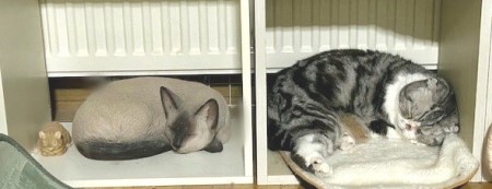 0cc0d5f0-fd7c-4ada-ab25-abd69c669382