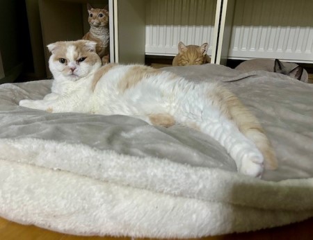 thumbnail_IMG_8753 (1)