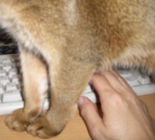 2007_05090011