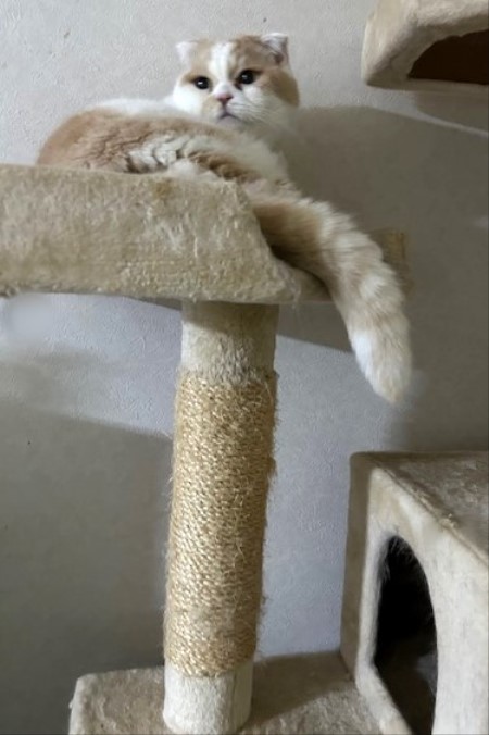 thumbnail_IMG_7170 (1)