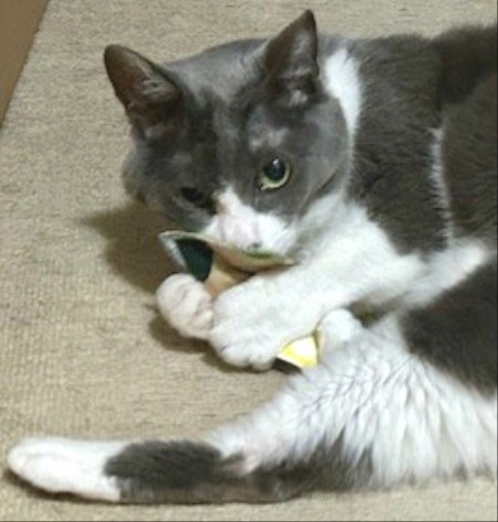 thumbnail_IMG_5243 (2)