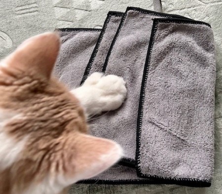 thumbnail_IMG_4864 (1)