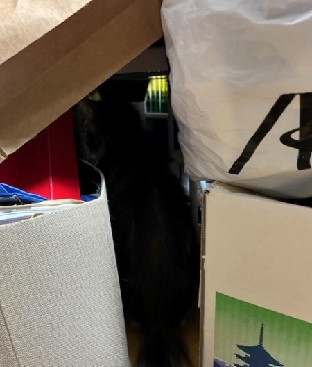 thumbnail_IMG_3714 (1)