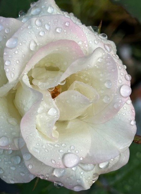 thumbnail_IMG_7105 (1)