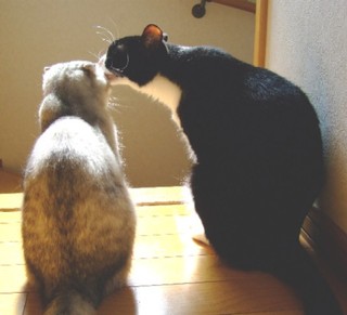 2007_06120017